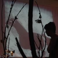 Fire Stories icon image